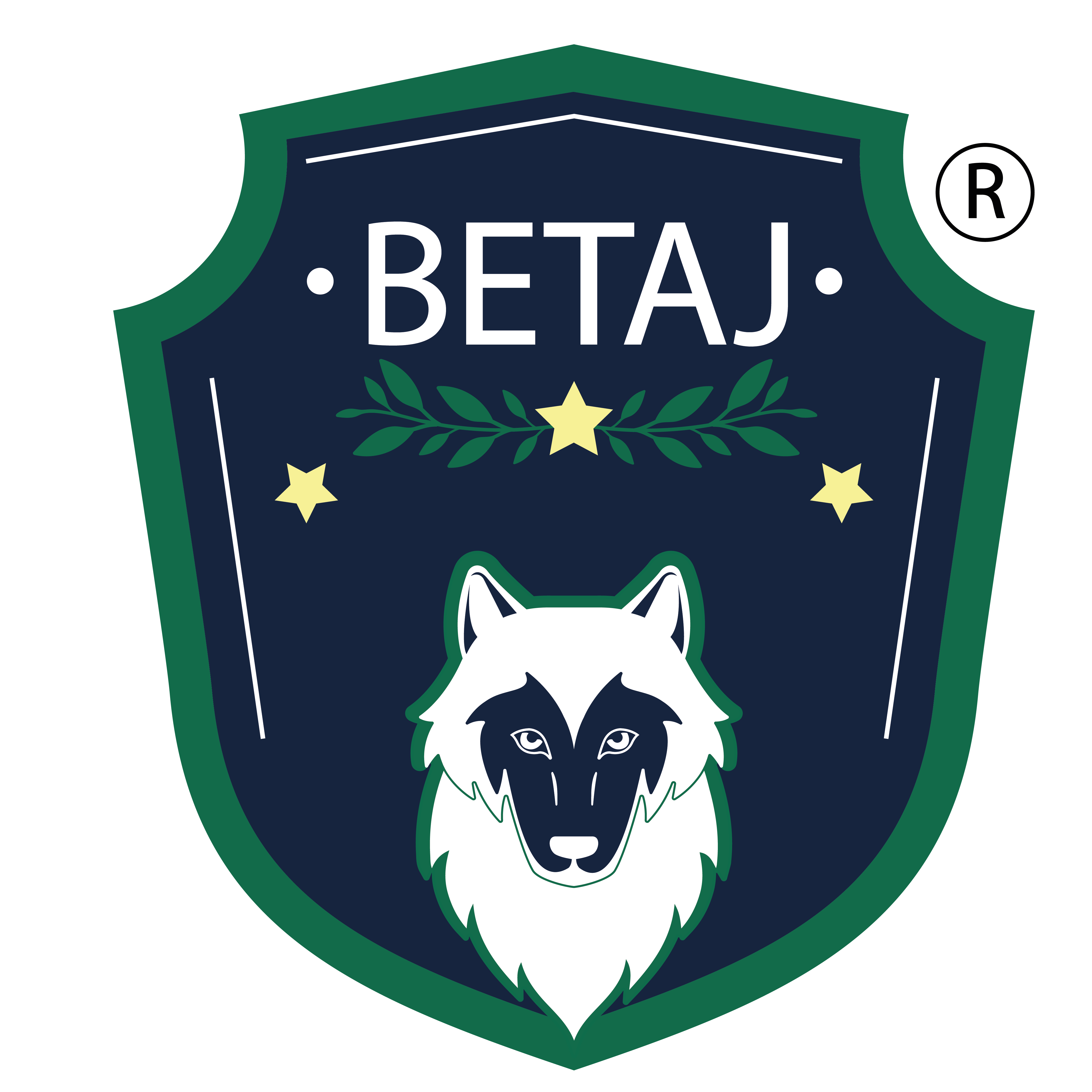 Integration icon